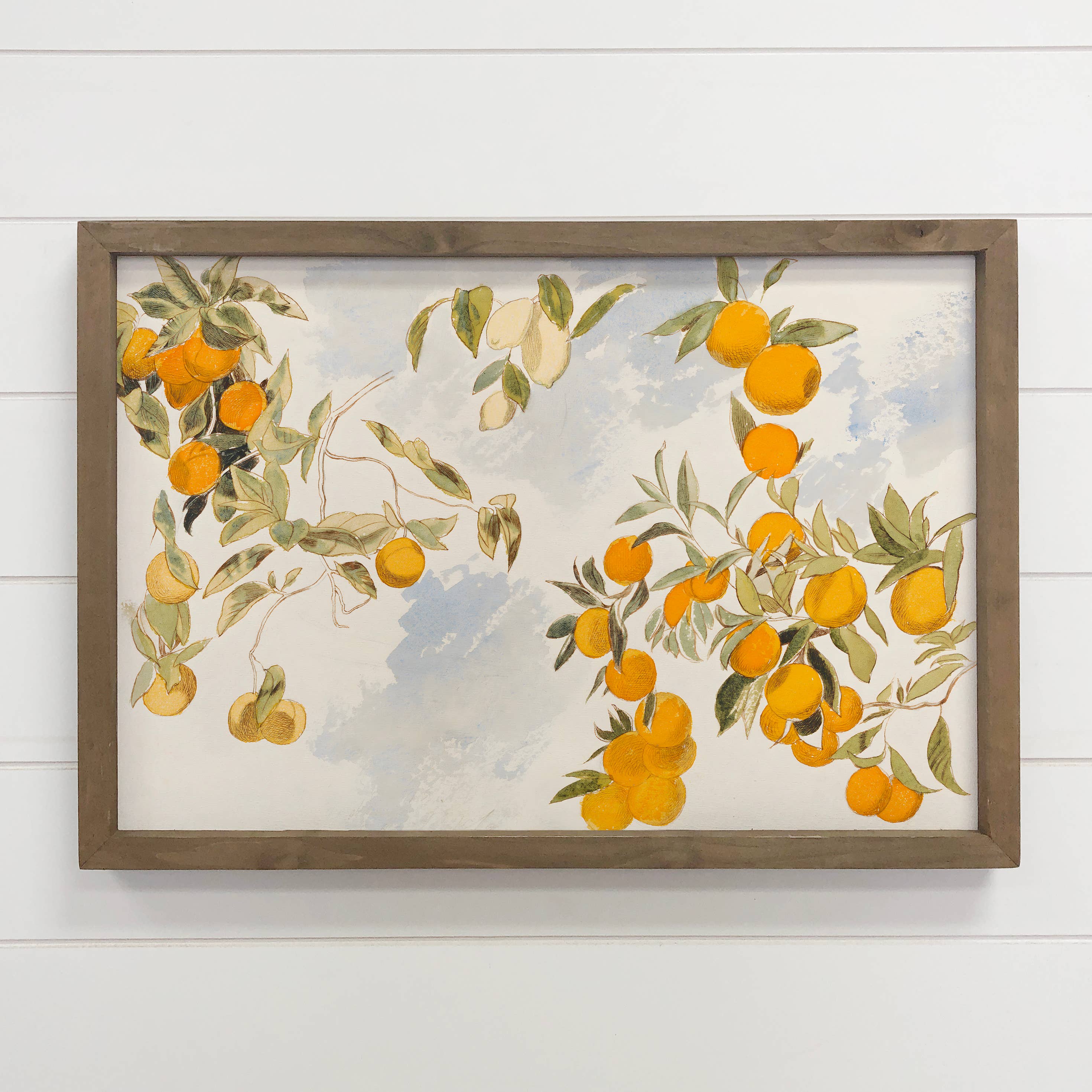 Vintage Clementines - Framed Canvas Wall Art