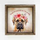 Boerboel Canvas Art - Feed Me & Tell Me I'm Pretty - Framed