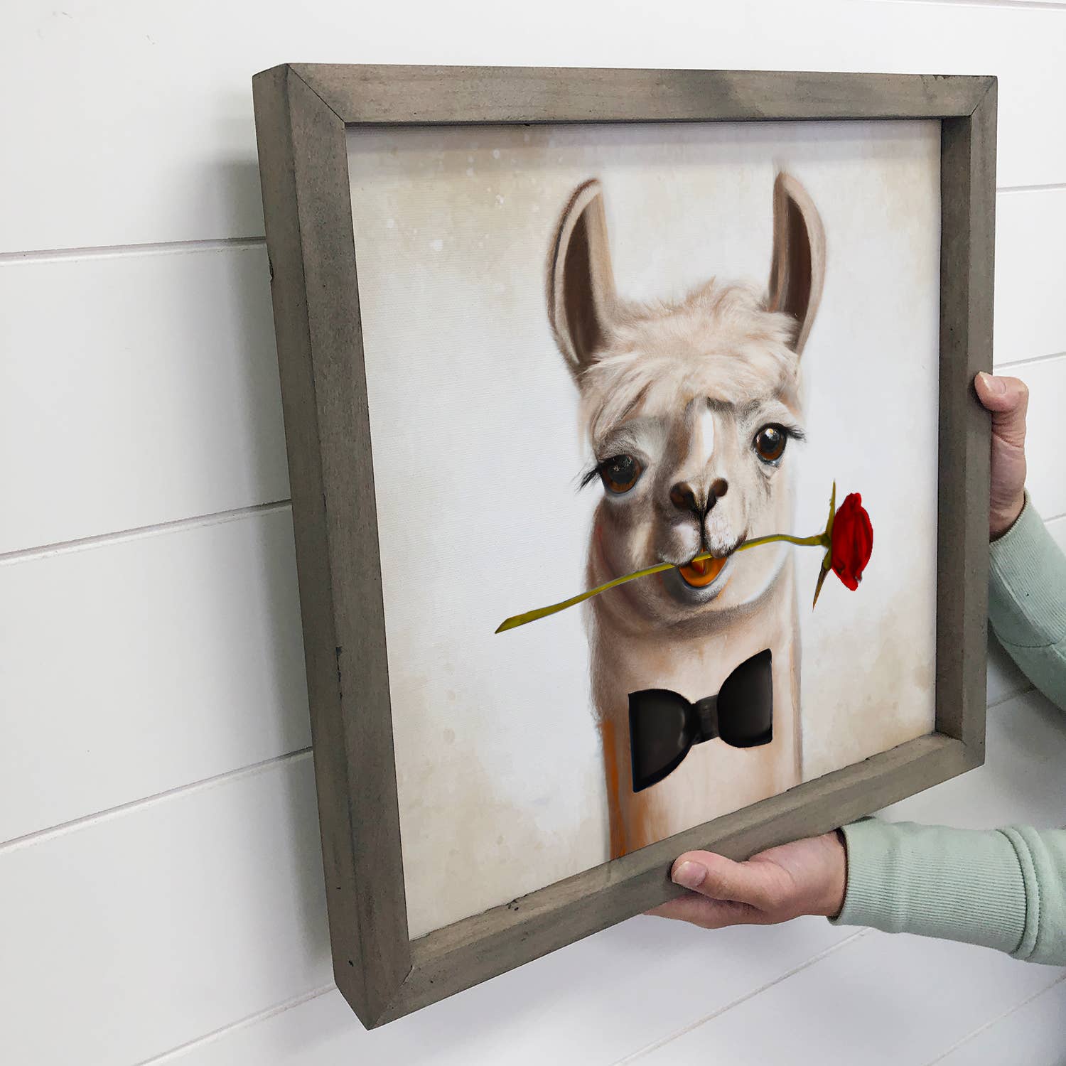 Funny Valentines Card Sign - Romantic Llama with Rose