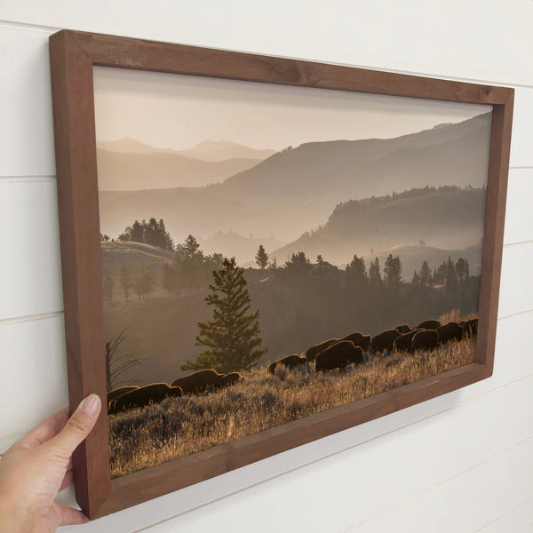 Yellowstone Bison Herd - Framed Wildlife Photograph - Ranch