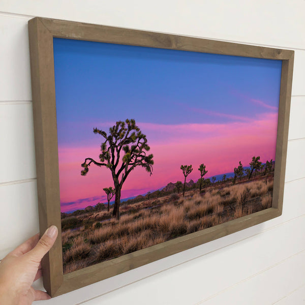 Joshua Trees at Sunset - Framed Canvas Nature Photograph