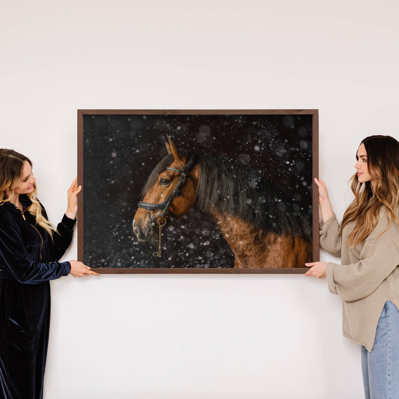 Horse in Snow - Horse Photograph Canvas Art - Wood Framed