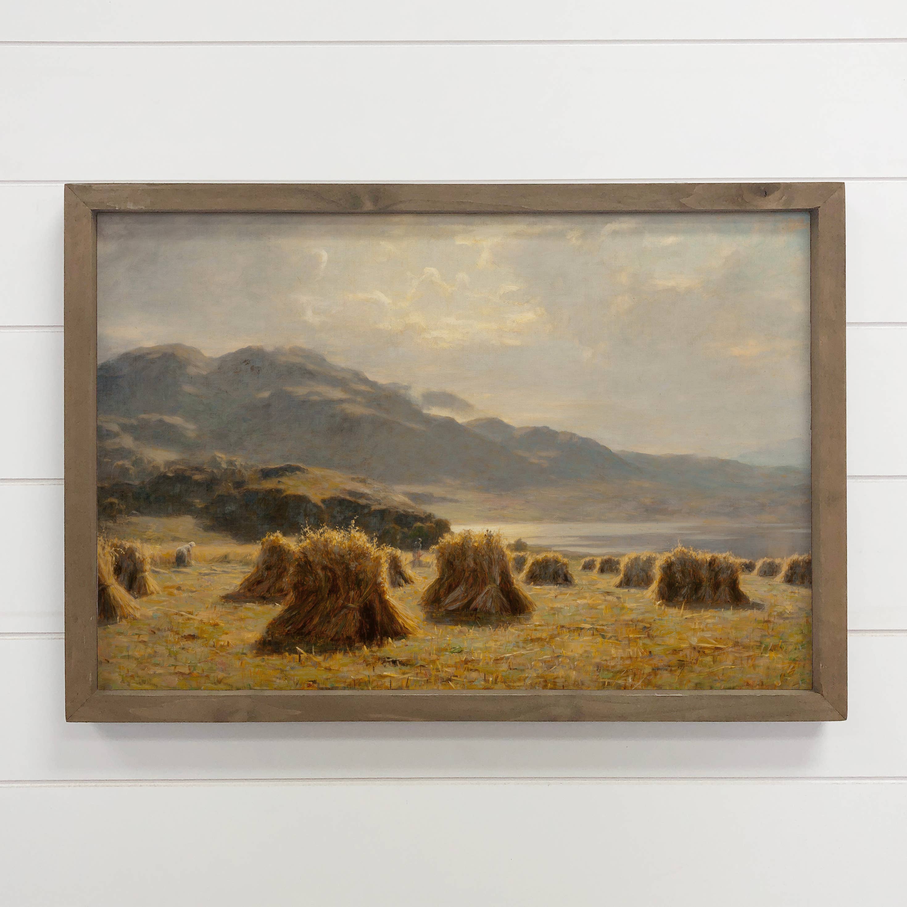 Highland Harvest - Field Harvest Canvas Art - Wood Framed