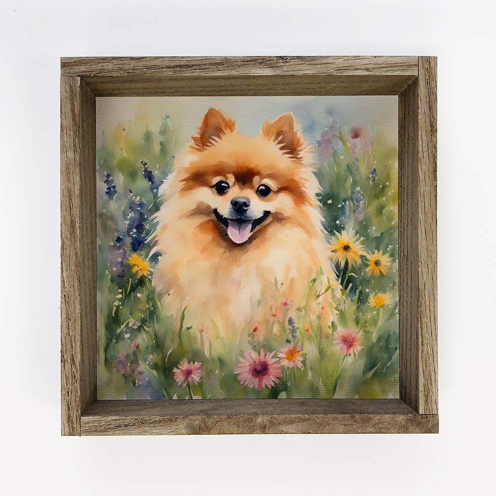 Wildflower Pomeranian - Springtime Dog Canvas Art - Framed