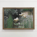 Ducks in the Marsh - Duck Canvas Art - Wood Framed Artwork