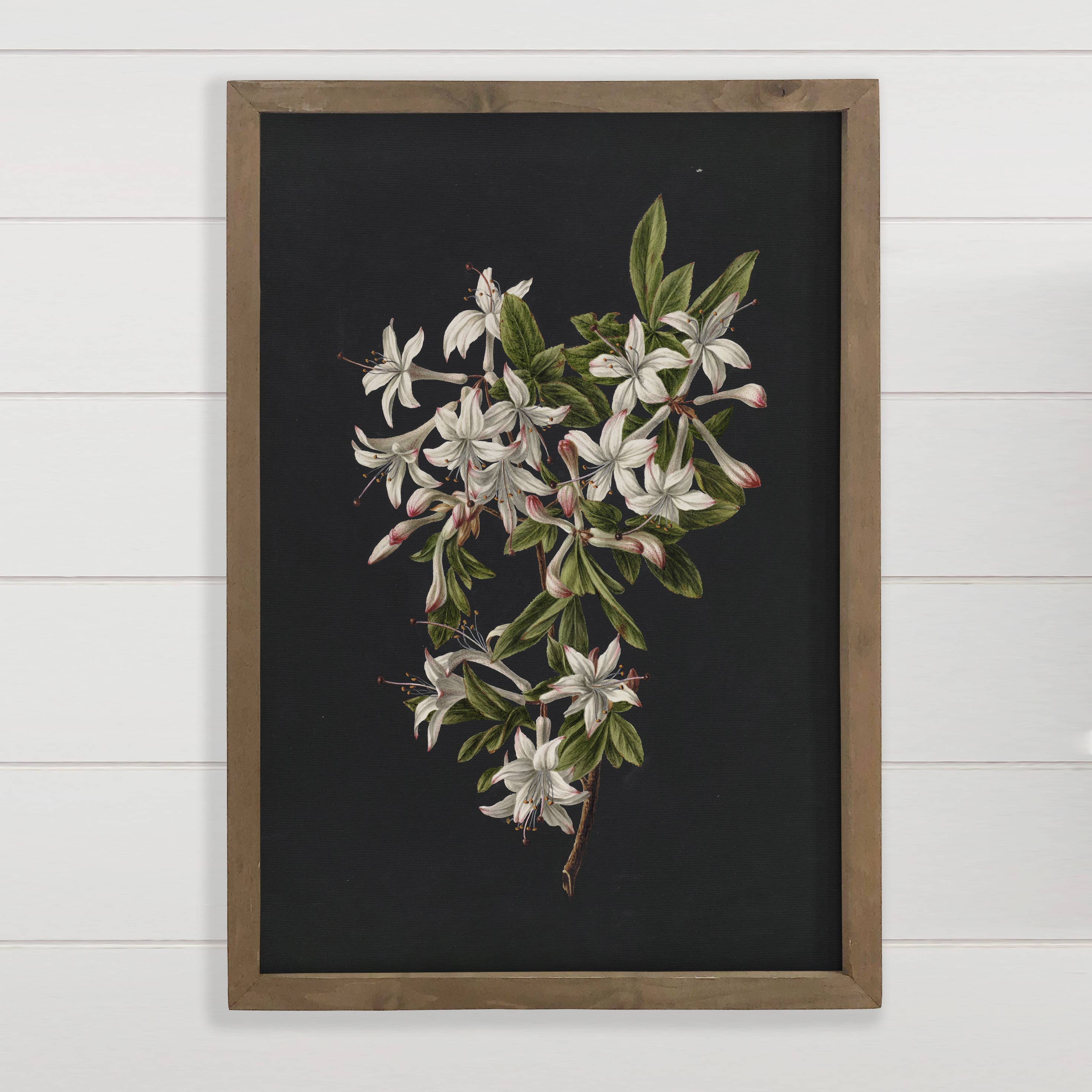 Azaleas on Black - Floral Canvas Art - Wood Framed Wall Art