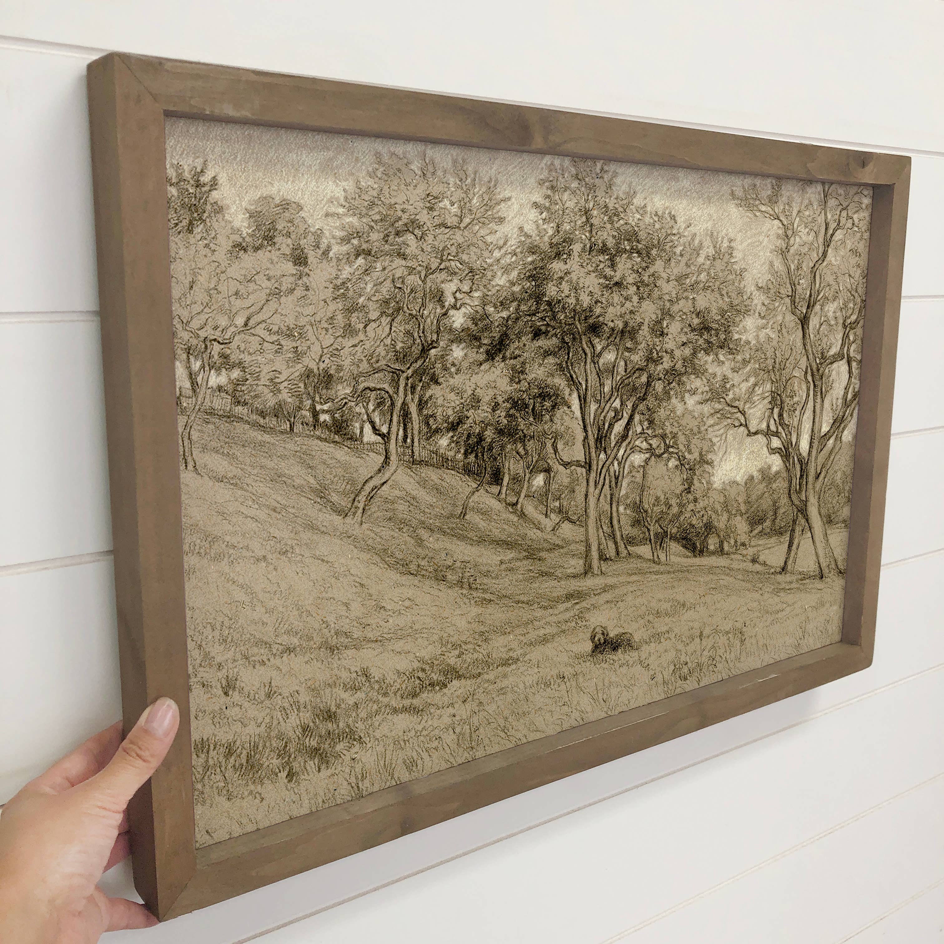 Dog on Tree Hill - Dog Canvas Art - Wood Framed Wall Art