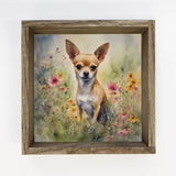 Wildflower Chihuahua - Springtime Dog Canvas Art - Framed