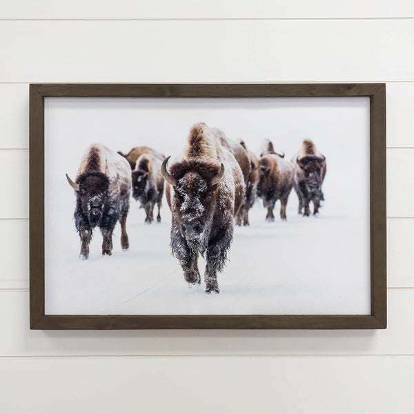 Wood Framed Wildlife Photography - Bison Group - Cabin Decor