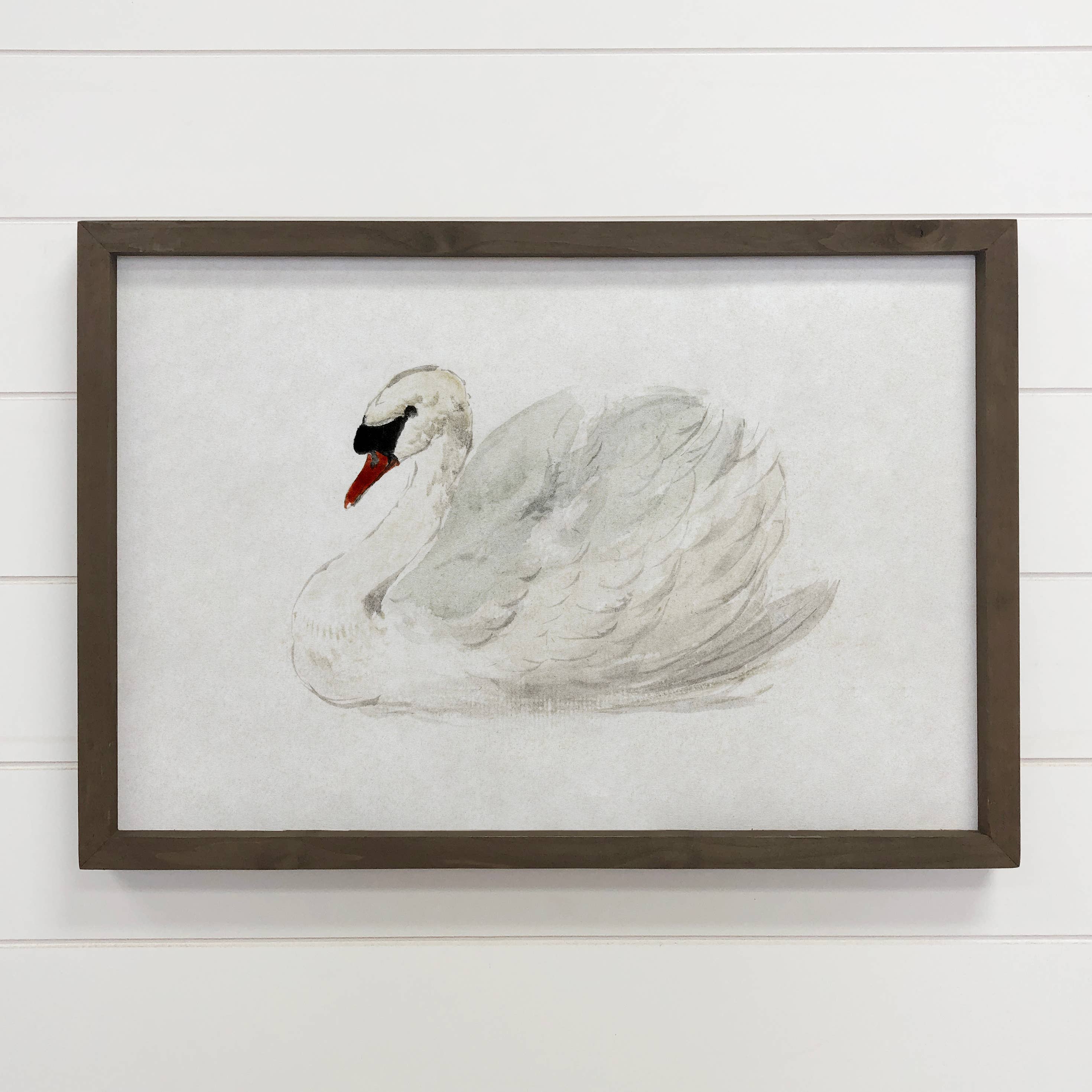 White Swan Painting - Elegant Swan Canvas Art - Wood Framed