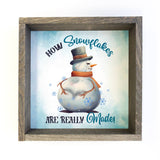 How Snowflakes Are Made - Funny Snowman Canvas Art