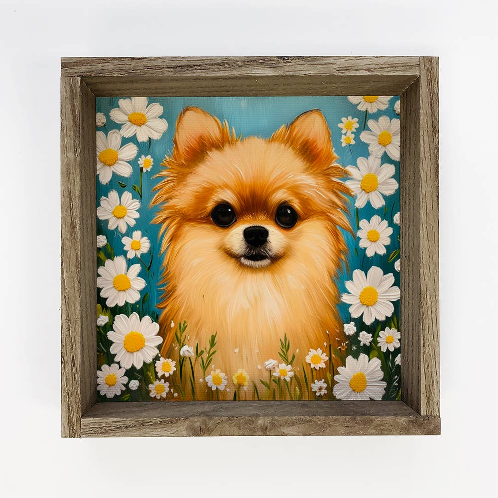 Pomeranian and Daisies - Dogs and Flowers Canvas Art