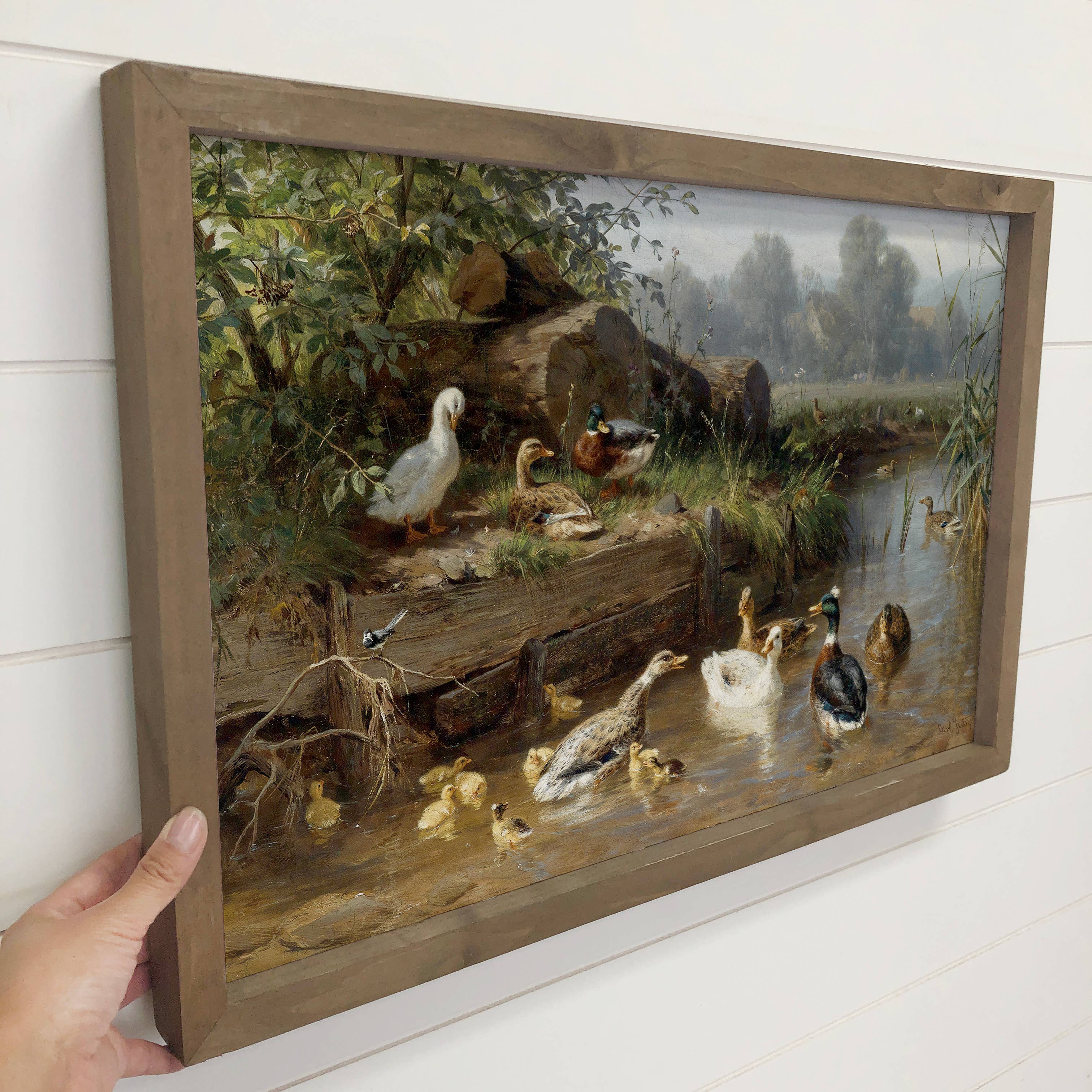 Vintage German Duck Painting - Duck Canvas Art - Wood Framed