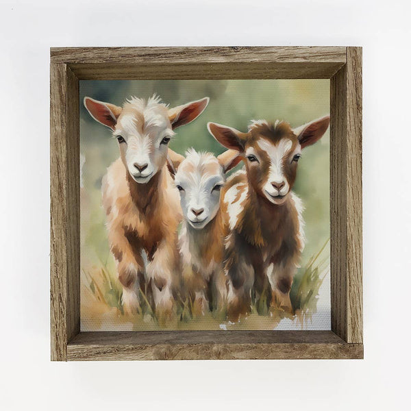 Three Baby Goats - Watercolor Painting on Canvas Framed