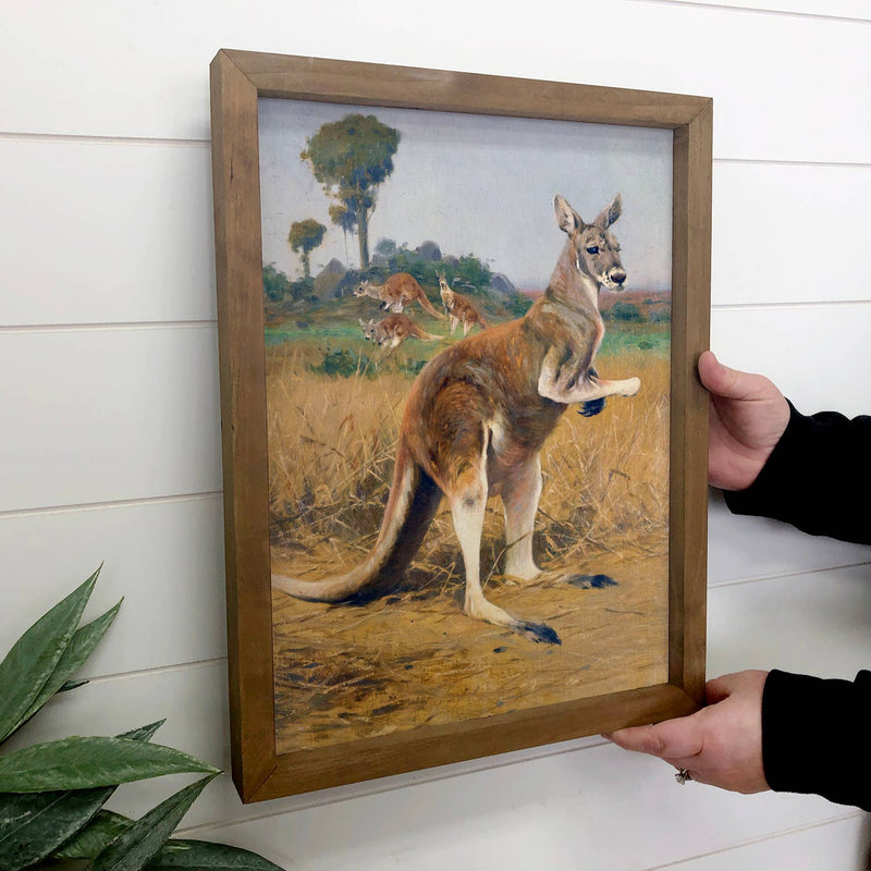 Outback Kangaroos - Wildlife Canvas Art - Wood Framed Decor