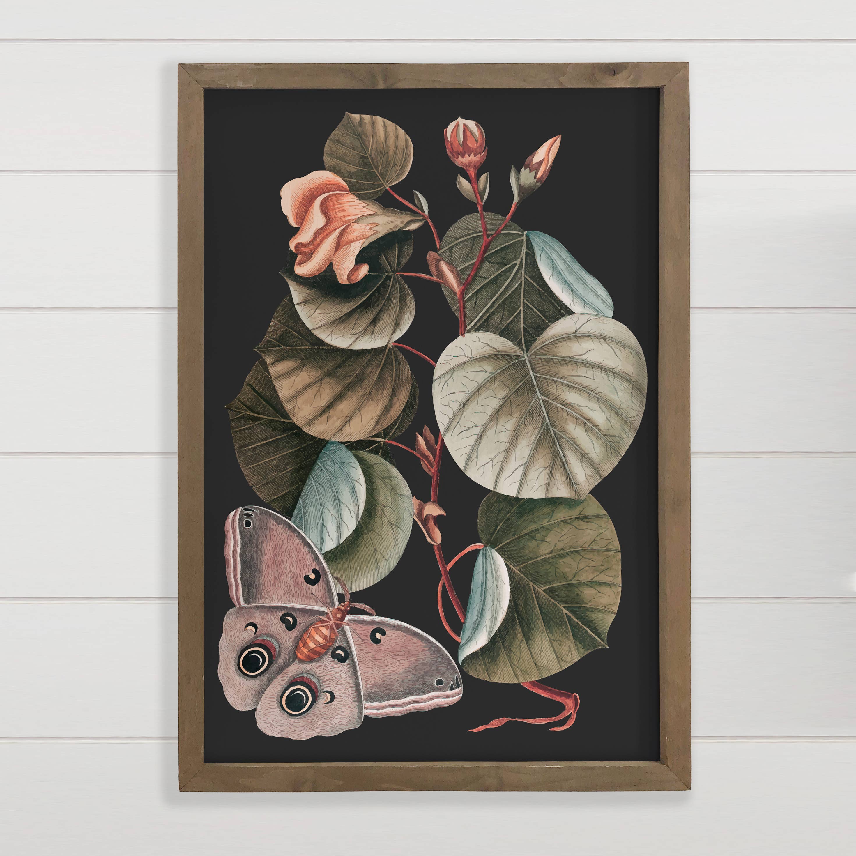 Dark Moth Botanical - Framed Nature Art - Large Wall Art