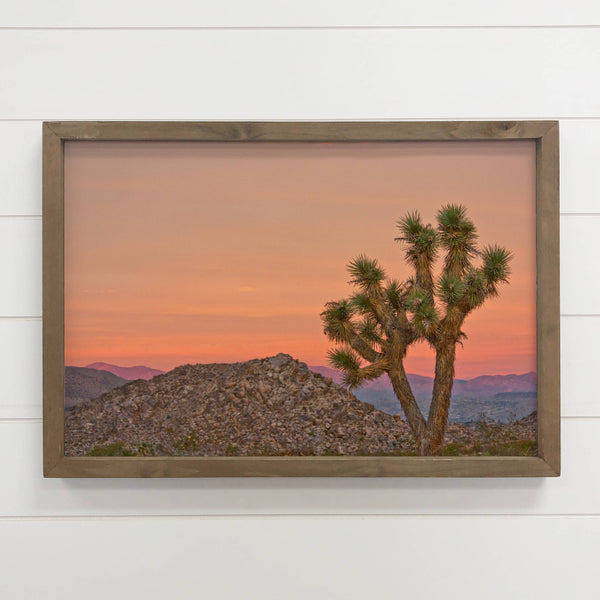 Joshua Tree Orange Sky - Framed Nature Wall Art - Desert Art