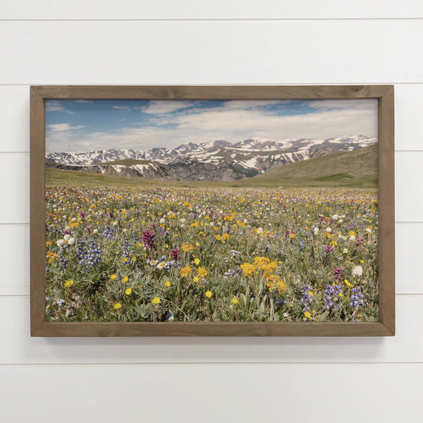 Wildflower Beartooth Pass - Nature Canvas Photograph - Cabin