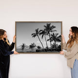 Black & White Palm Trees - Framed Nature Photograph