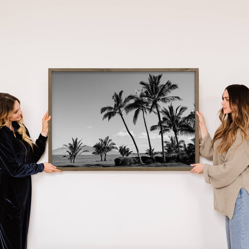 Black & White Palm Trees - Framed Nature Photograph