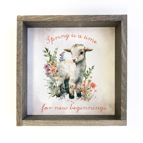 Spring New Beginnings Baby Goat - Spring Time Canvas Art