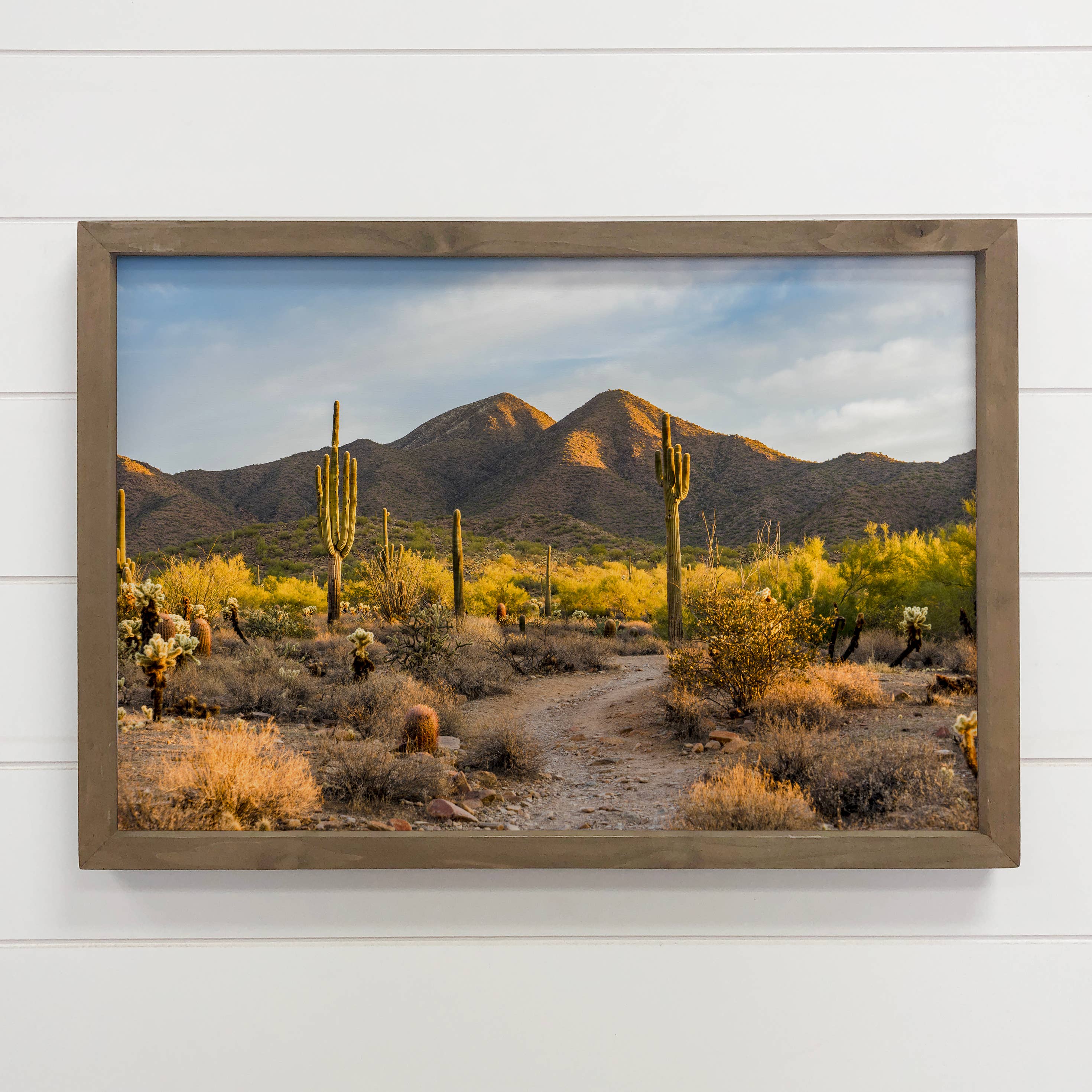 Arizona Desert - Framed Nature Photograph - Canvas Wall Art