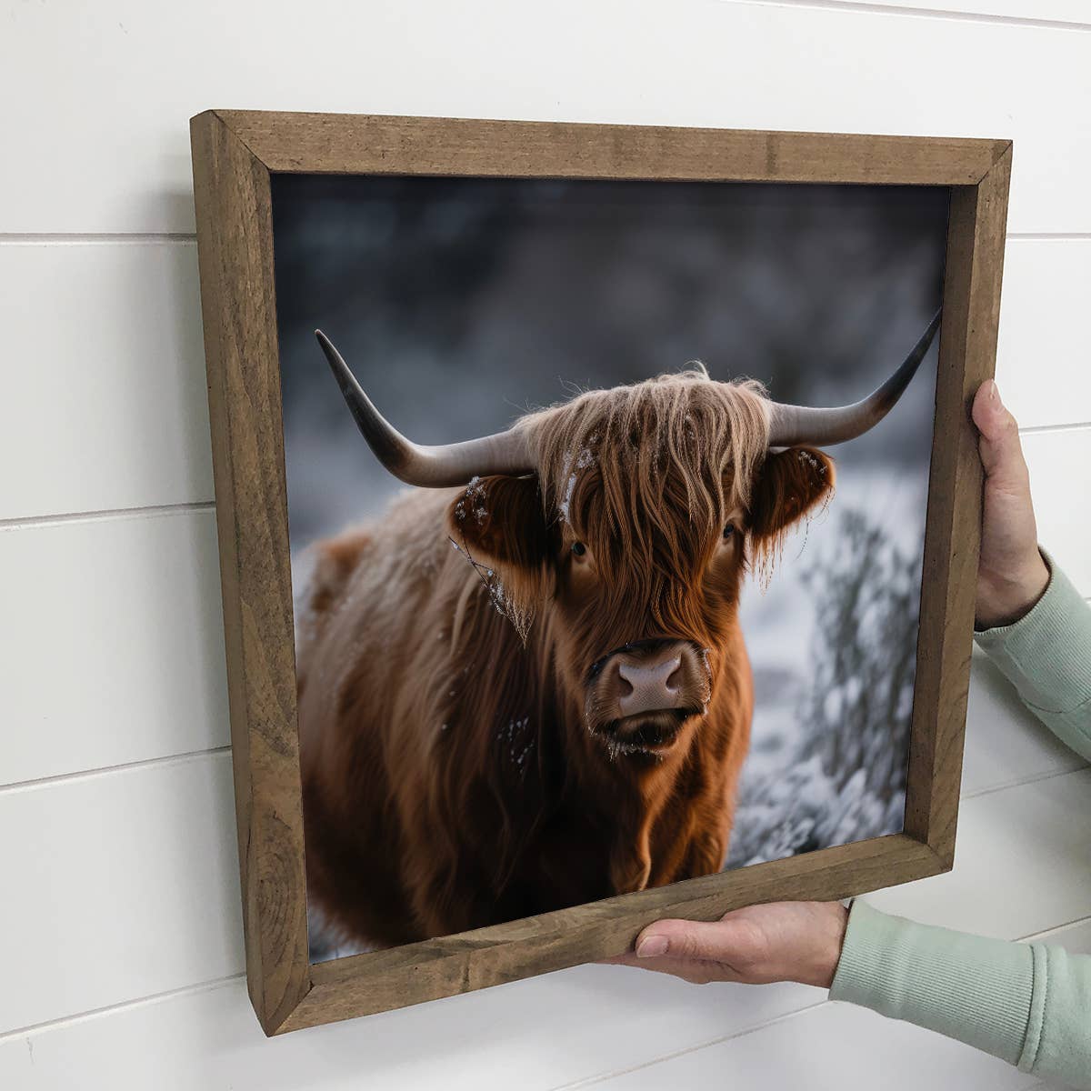 Highland Cow in Snow - Farmhouse Wall Decor - Framed Photos