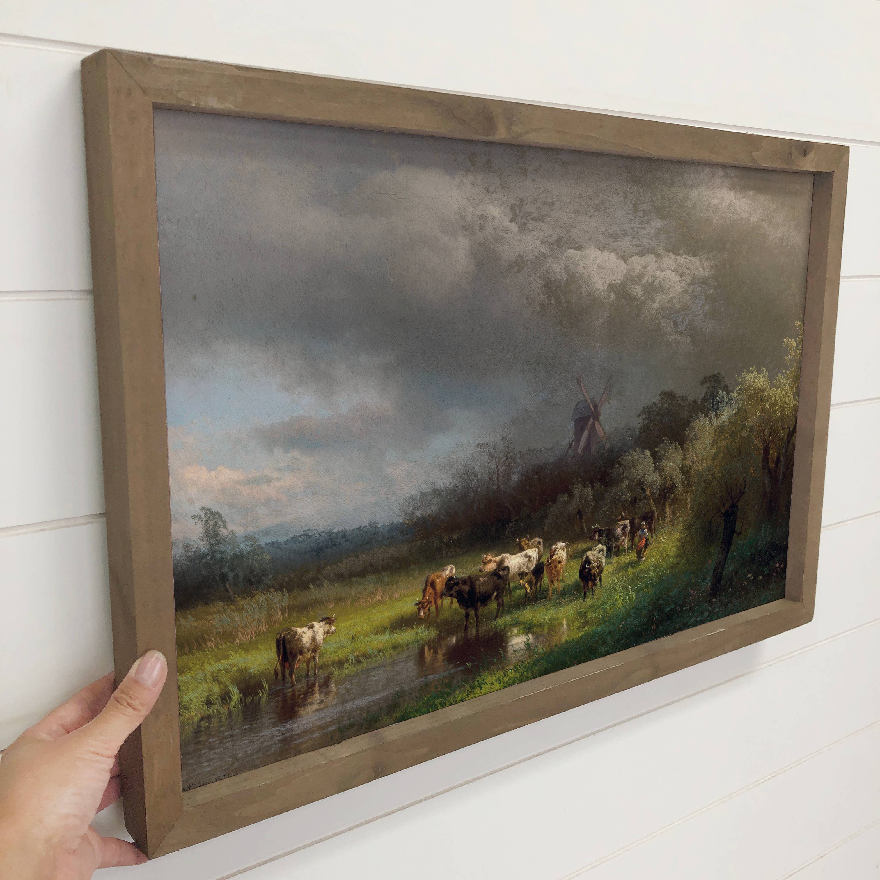 Windmill Cow Farm - Farmhouse Canvas Art - Wood Framed