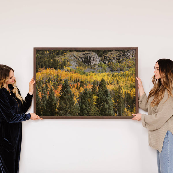 Colorado Fall Aspens - Colorado Landscape - Wood Framed Art