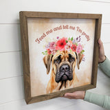 Boerboel Canvas Art - Feed Me & Tell Me I'm Pretty - Framed