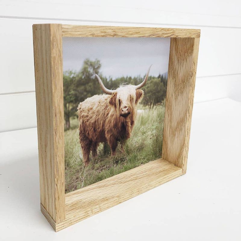 Highland Cow in Grass Small Canvas Decor