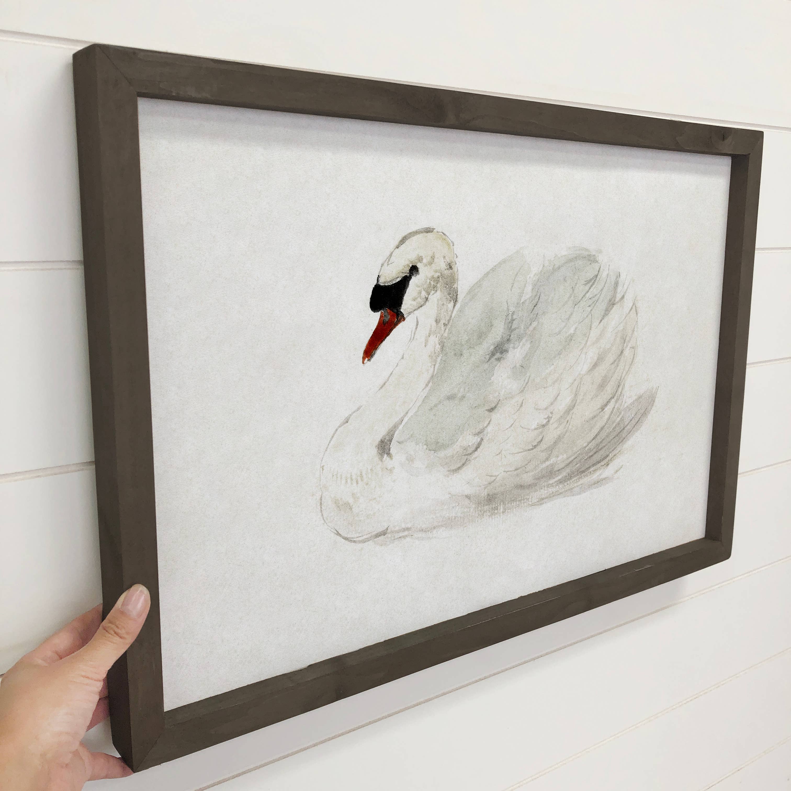 White Swan Painting - Elegant Swan Canvas Art - Wood Framed