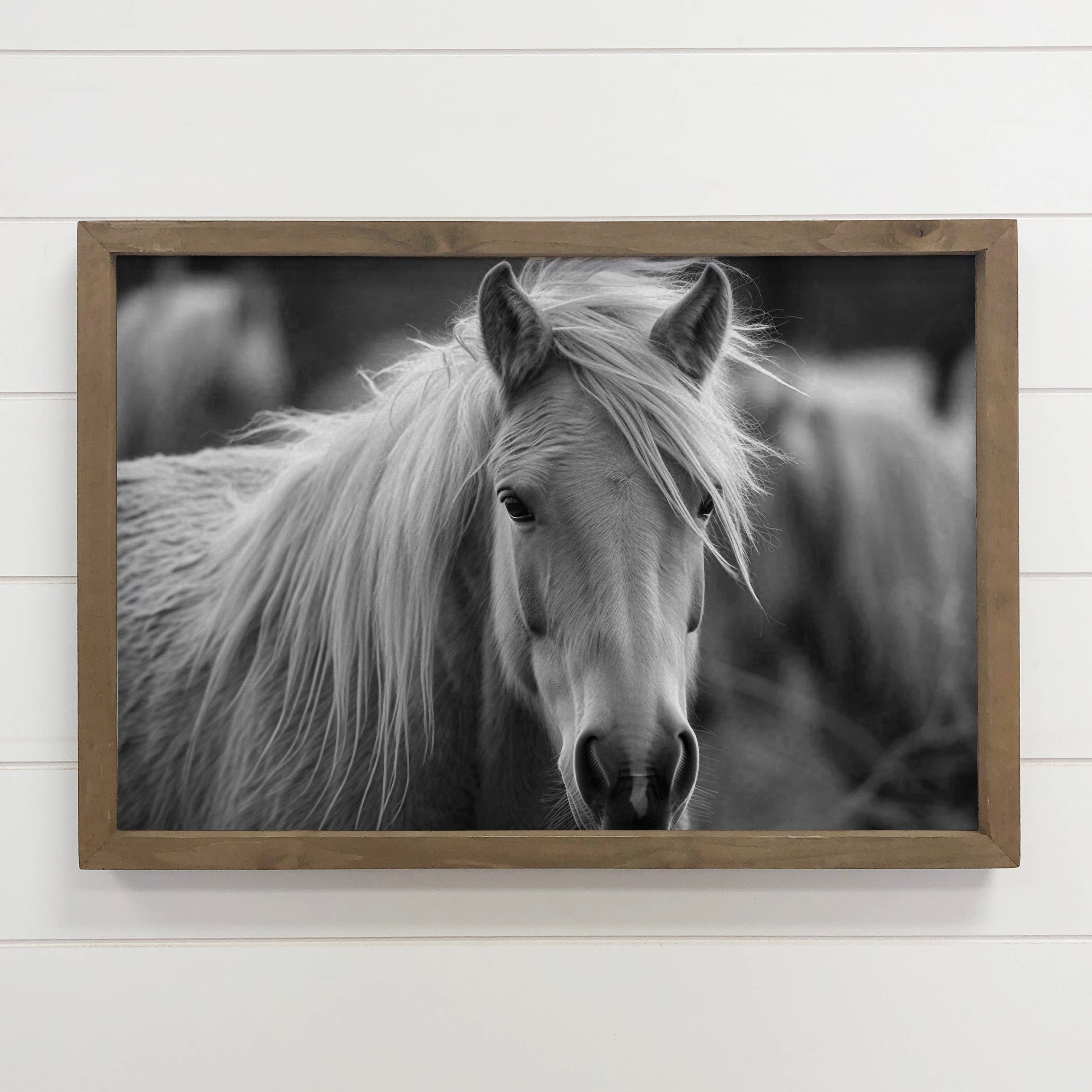 Horse Side Swept Hair - Framed Animal Photograph - Ranch Art