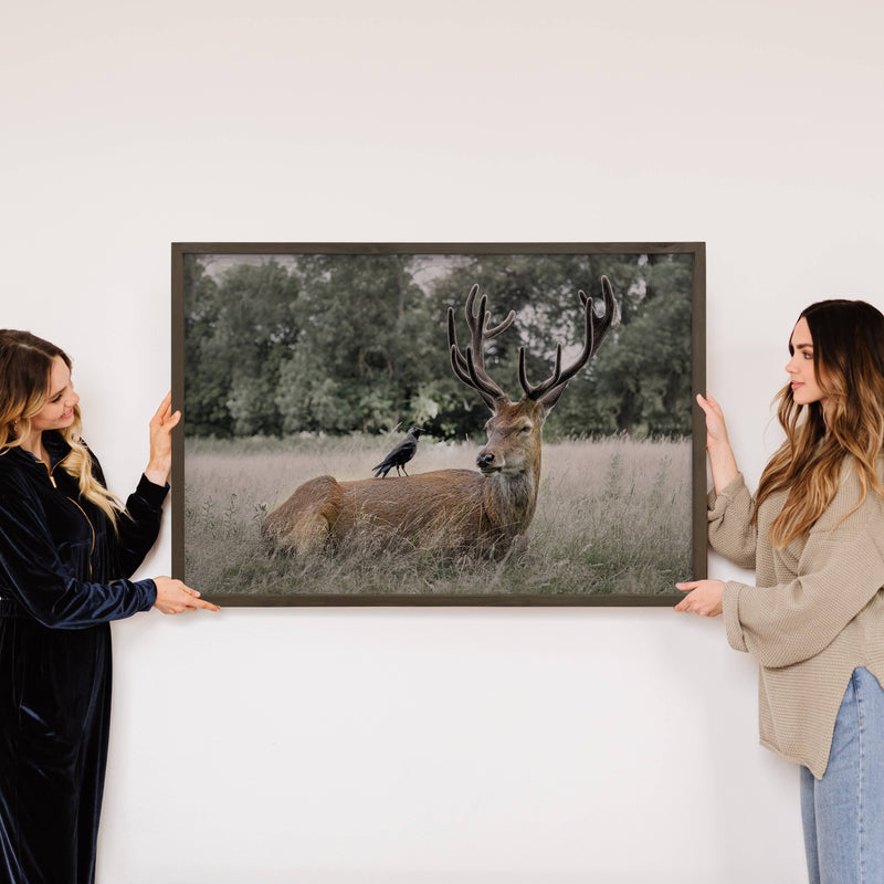 Deer and Raven - Wildlife Photography - Wood Framed Canvas