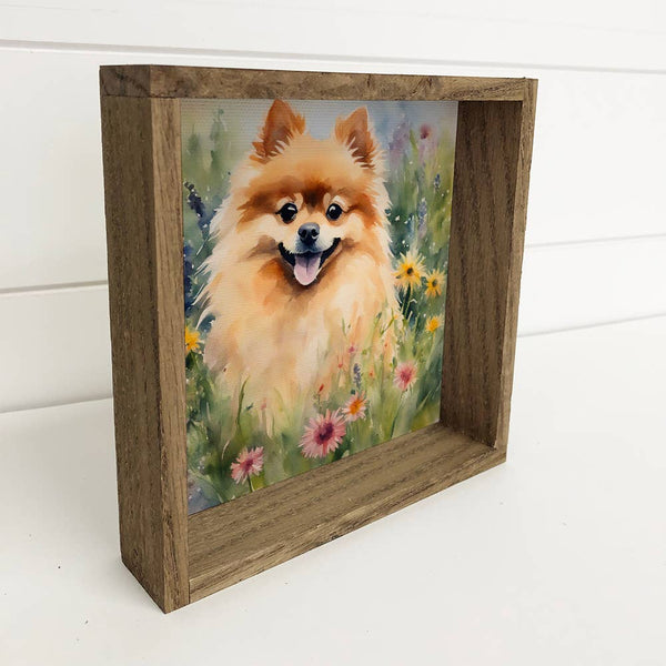 Wildflower Pomeranian - Springtime Dog Canvas Art - Framed
