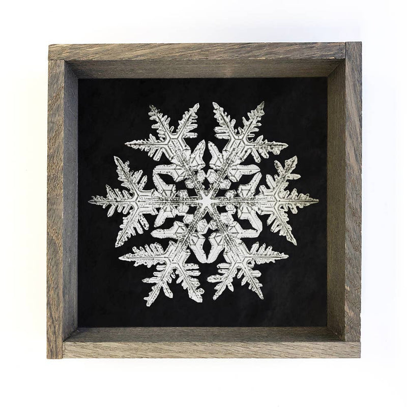 Real Snowflake 1 - Winter Canvas Wall Art - Snowflake Decor