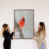 Cardinal in Snow - Framed Animal Photograph - Wildlife Decor