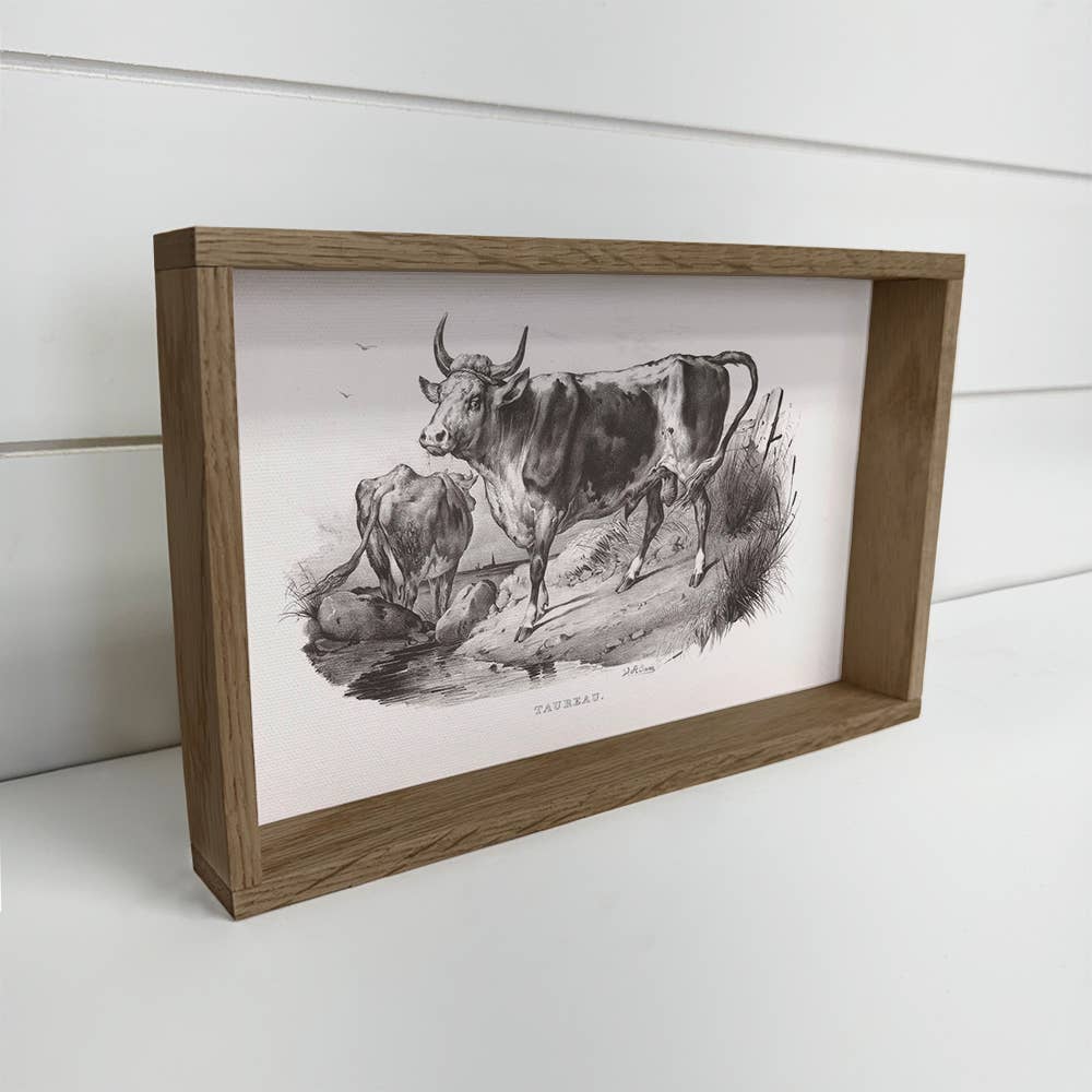 Bull Cow Sketch - Farmhouse Canvas Wall Art - Framed Artwork