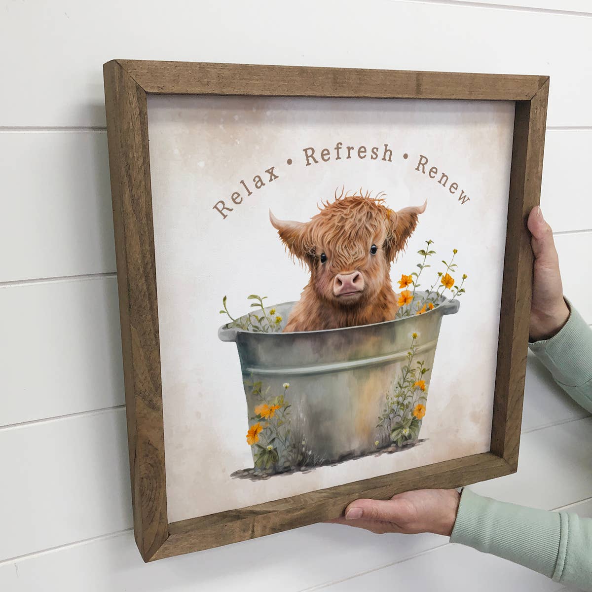 Highland Calf in Metal Tub - Cute Baby Animals - Farm Art