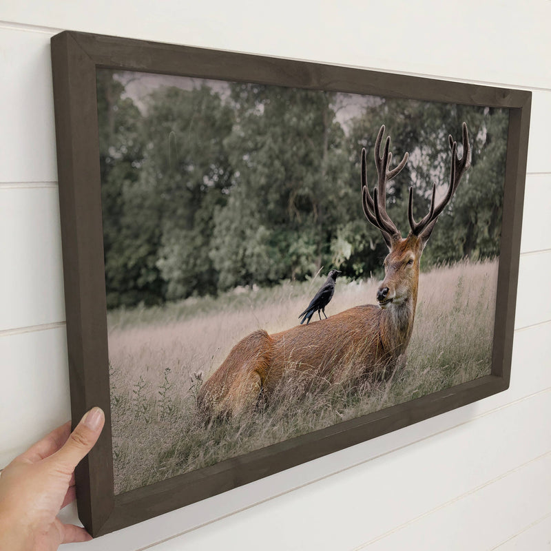 Deer and Raven - Wildlife Photography - Wood Framed Canvas