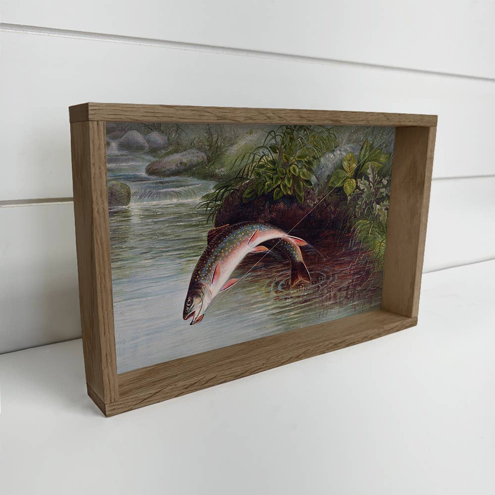 Caught Brook Trout - Fish Canvas Art - Wood Framed