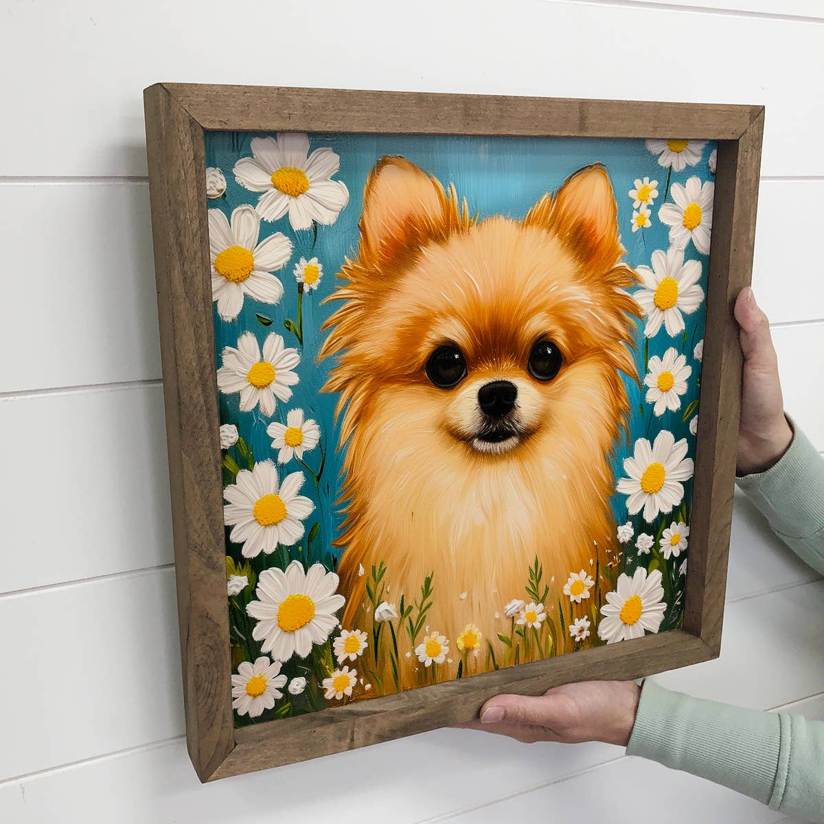 Pomeranian and Daisies - Dogs and Flowers Canvas Art