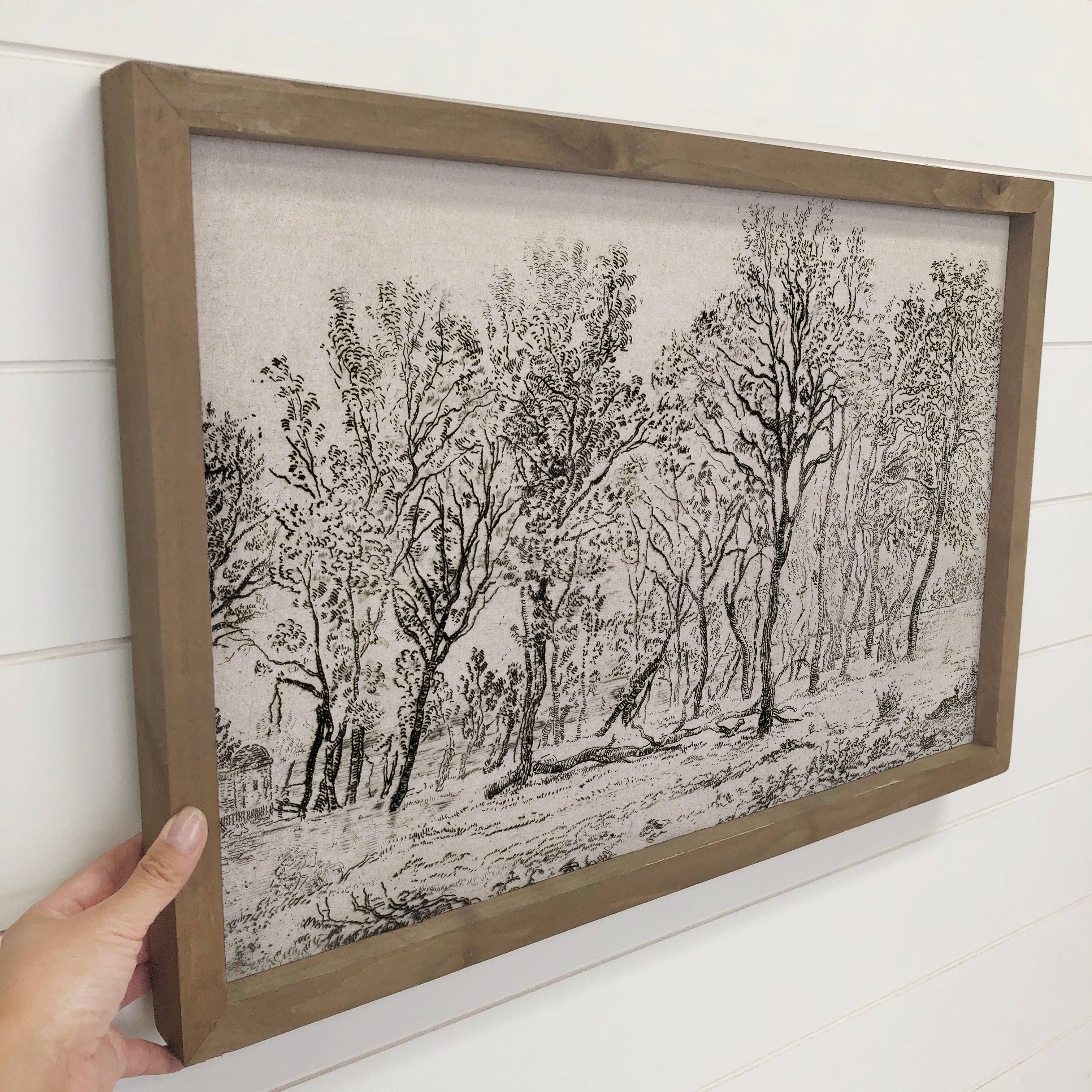 Black and White Grove of Trees - Nature Sketch Canvas Art