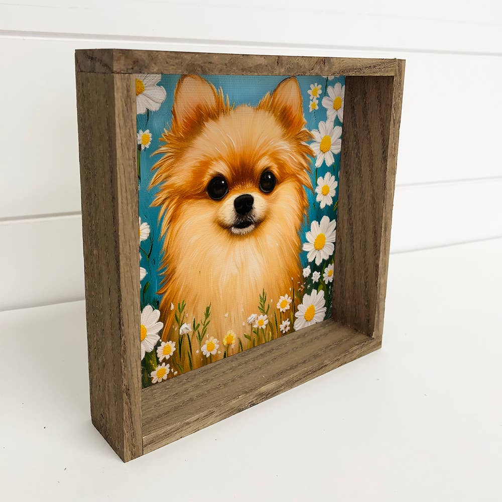 Pomeranian and Daisies - Dogs and Flowers Canvas Art