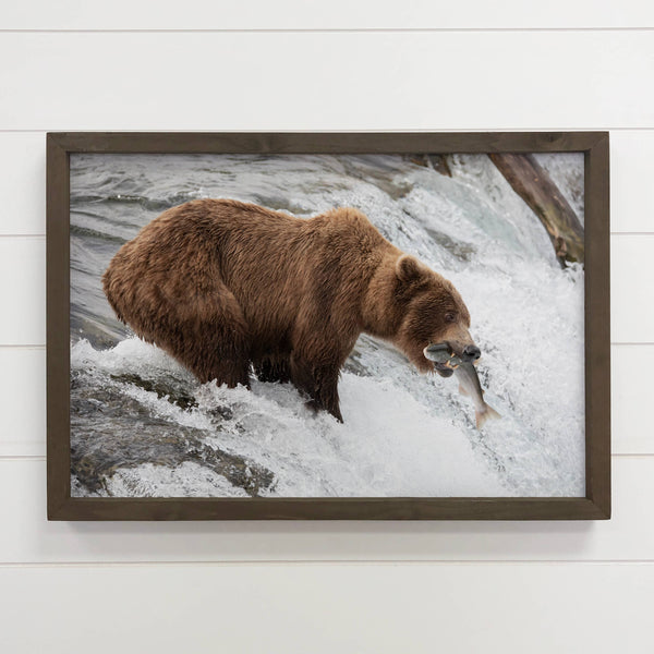 Brown Bear Fishing - Framed Wildlife Photography - Cabin Art