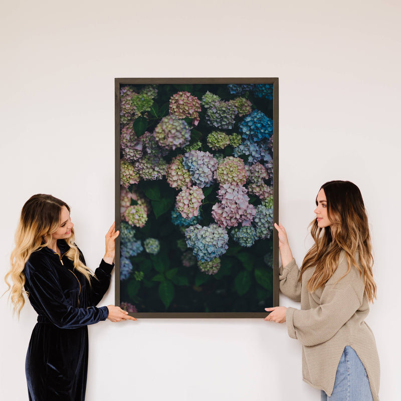 Midnight Hydrangeas Wall Art - Floral Photograph - Framed
