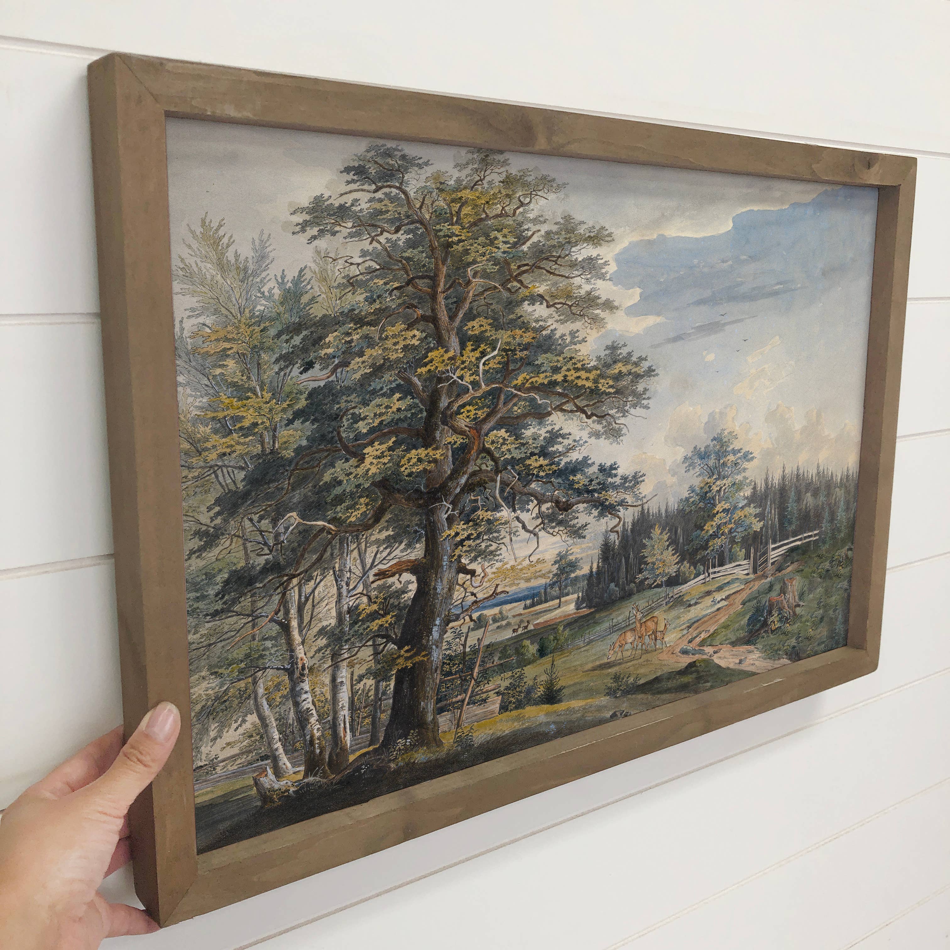 Woodland Landscape with Stag - Nature Canvas Art - Framed