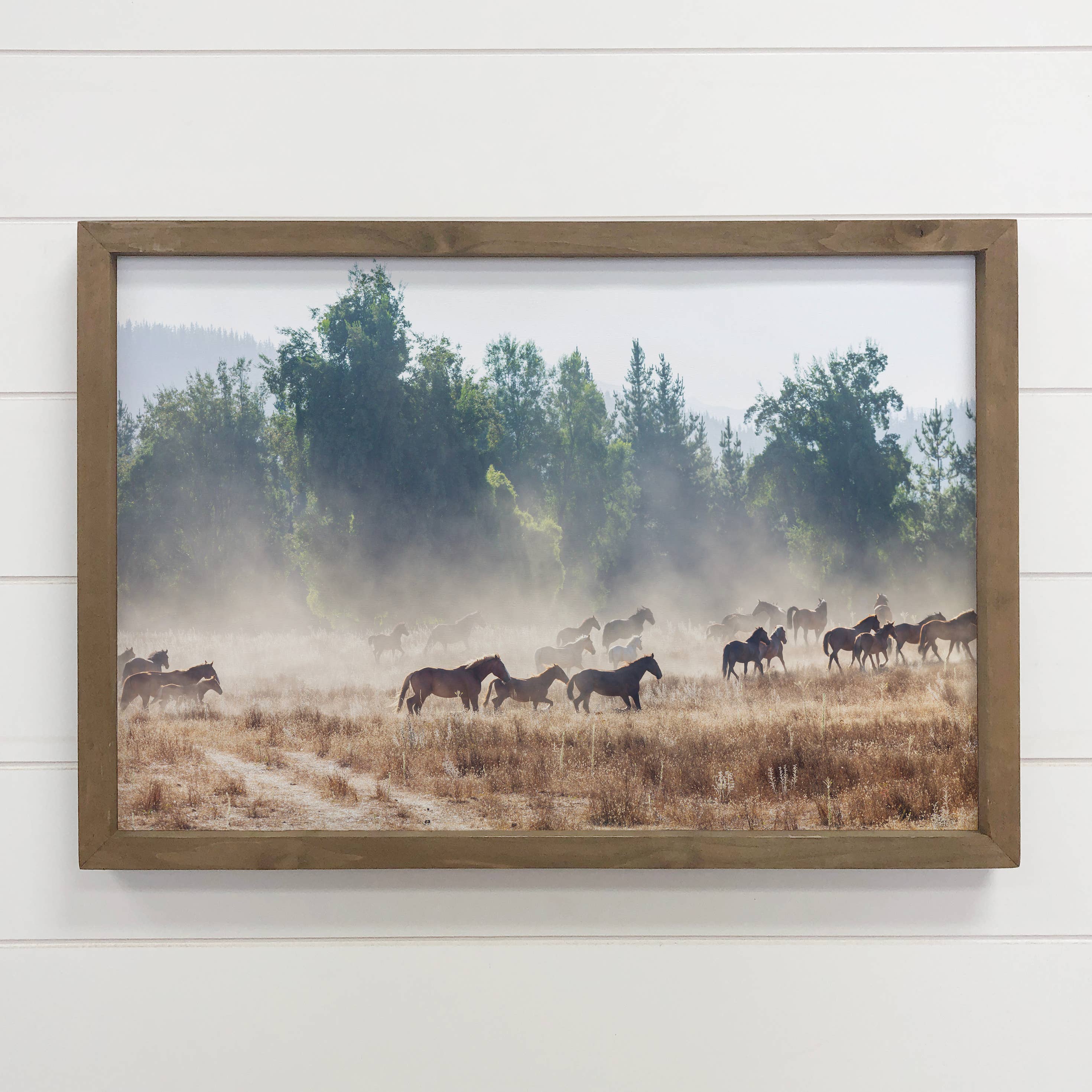 Horse Her Run - Ranch House Canvas Art - Wood Framed Art