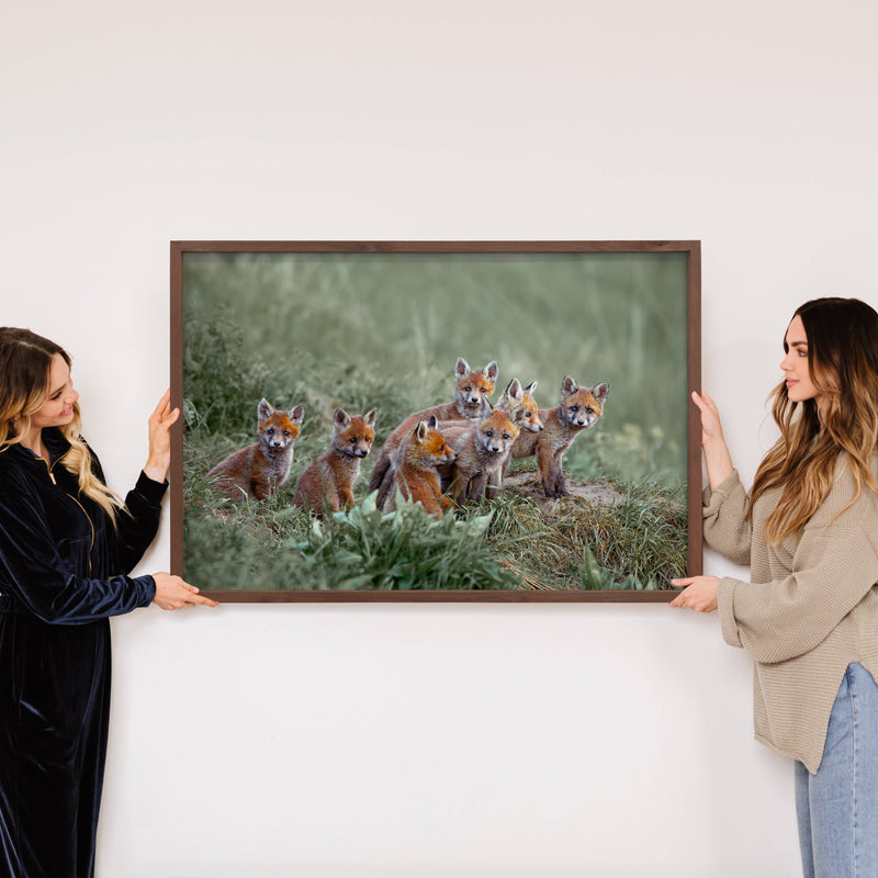 Baby Fox Pups - Wildlife Photography Canvas Art - Wood Frame