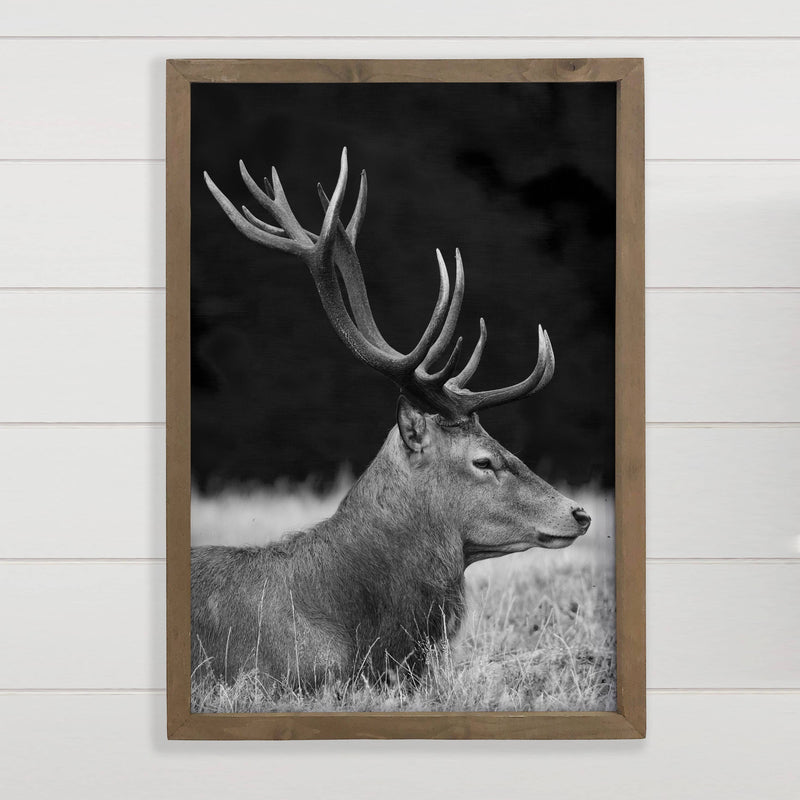 Elk Profile Black and White - Wildlife Photography - Framed